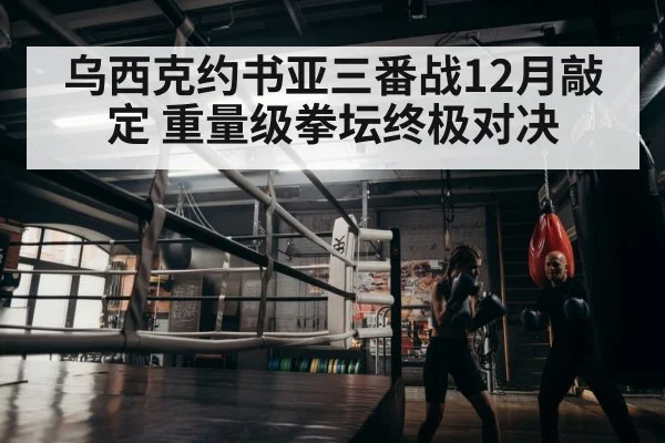 boxer training