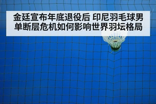 badminton shuttlecock on court